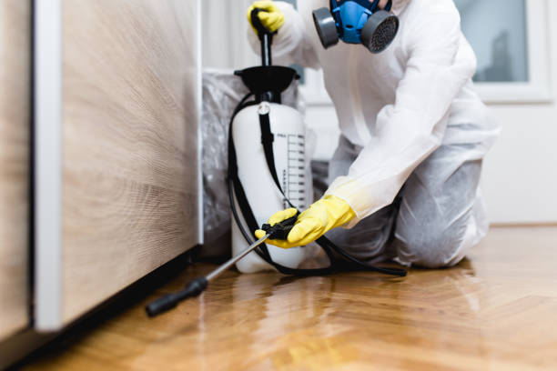 Best Bed Bug Extermination  in Salem, OR