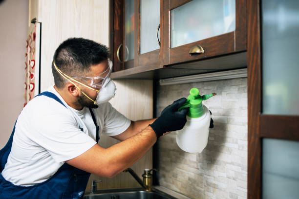 Best Commercial Pest Control Services  in Salem, OR