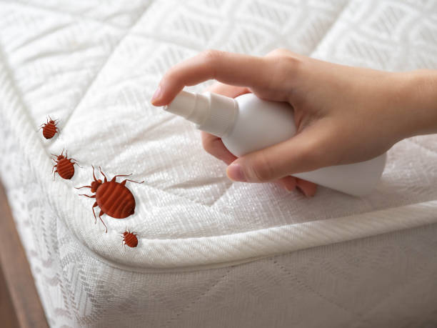 Best Mosquito Control Services  in Salem, OR